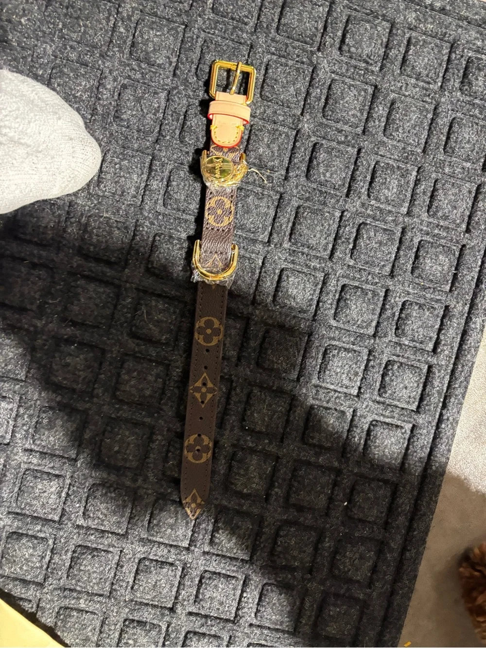 Monogram Canvas Dog Collar with Gold Hardware